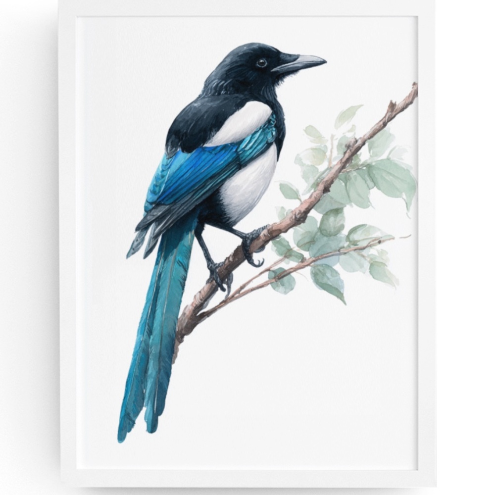 Watercolor Magpie Bird Wall Art Print, Unframed - Elegant Nature-Inspired Decor